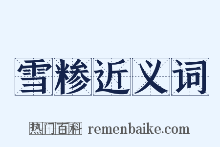 雪糁近义词是什么意思的图片